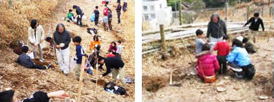 “クラゲチップを使った山桜の植樹” 協賛 植樹から1カ月後の桜の様子