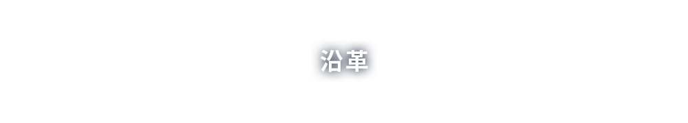 沿革